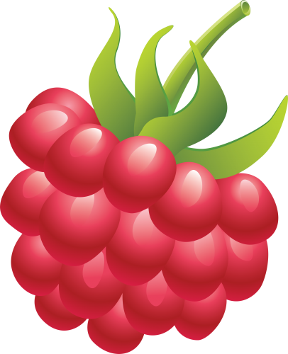 Raspberry - Raspberry Clipart Transparent Background (406x500), Png Download