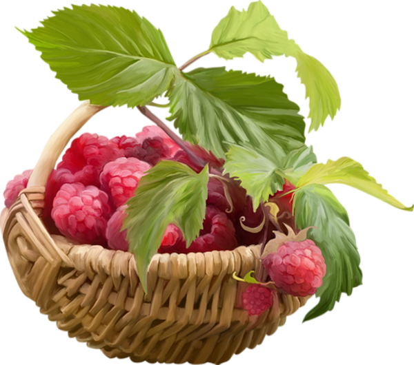 Panier De Framboises Png, Tube - Raspberry Basket Png (600x530), Png Download