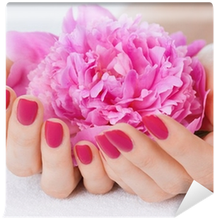 Woman Cupped Hands With Manicure Holding A Pink Flower - Give A Home Manicure & Pedicure [book] (400x400), Png Download