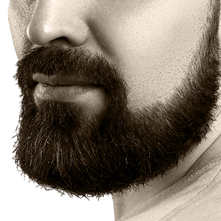 Finding The Best Beard Style For Your Face Shape - Forme De Barbe Pour Visage Rond (450x450), Png Download