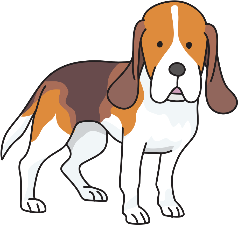 Beagle Golden Retriever Labrador Retriever Puppy Drawing - Beagle (750x750), Png Download