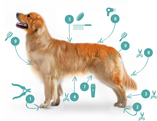 Trim Nails And Grind As Short As Possible - Places In The Heart, White (563x448), Png Download