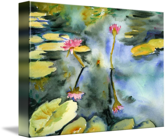 Lily Family By Miriam Schulman Watercolor Artists, - Gallery-wrapped Canvas Art Print 15 X 11 Entitled Lily (650x544), Png Download