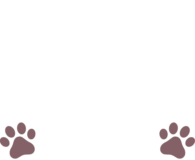 Bulldog Times Logo - Calligraphy (635x521), Png Download