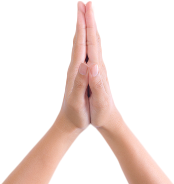 Sprouts Of Light - Two Hands Together (350x436), Png Download