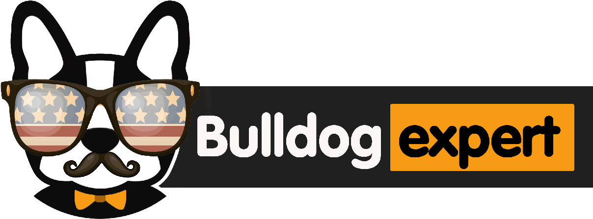 Become Pokemon Go Expert (1331x524), Png Download