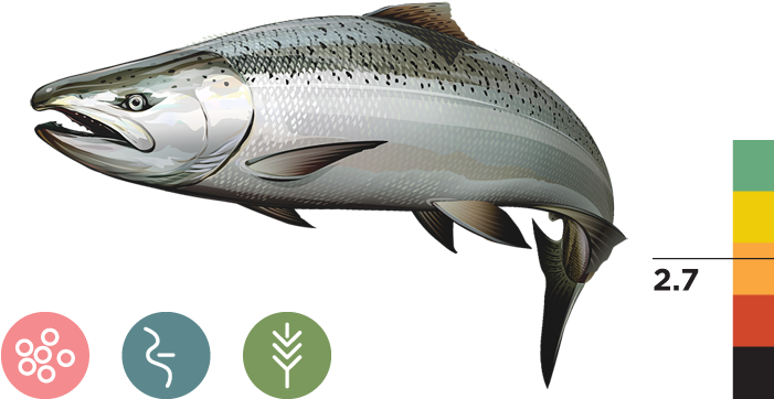 Central Valley Fall-run Chinook Salmon - Sacramento River Winter Run Chinook Salmon (700x373), Png Download