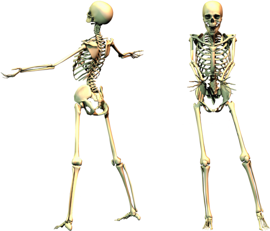 Skeleton Png - Spooky Skeleton Png (1013x788), Png Download