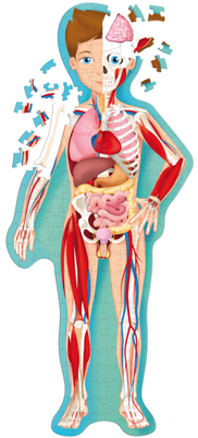 Travel, Learn And Explore - Sassi Travel Learn And Explore (the Body) (400x400), Png Download