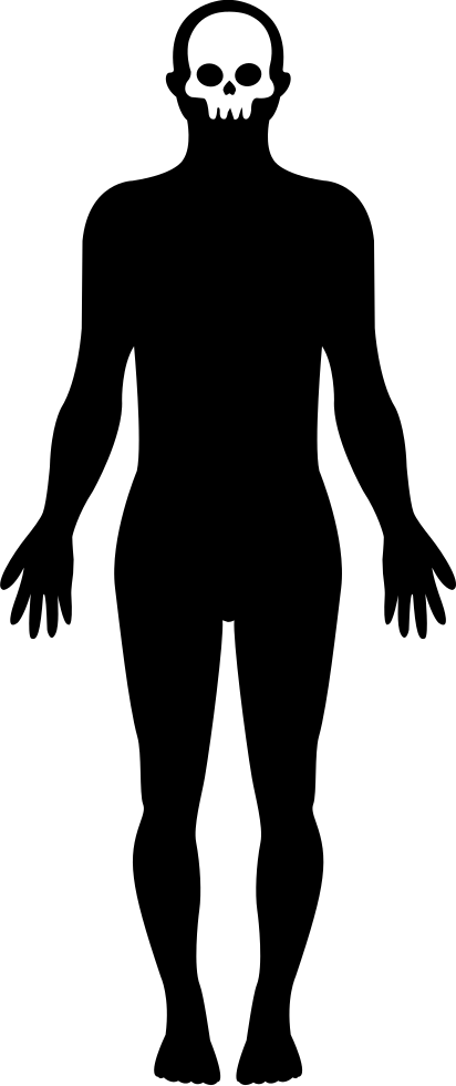 Standing Human Body Shape - Human Body Silhouette (412x981), Png Download