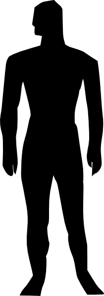 Download Human Body Silhouette Medical Illustration Clip Art - Human ...