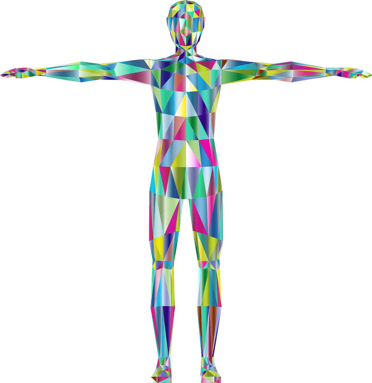 The Only Organ In The Human Body That Can Regenerate - Anatomy And Physiology (1244x1280), Png Download