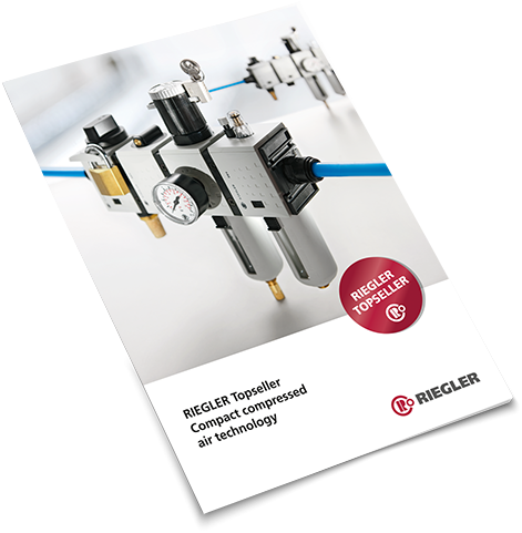 Topseller - Riegler & Co. Kg (500x510), Png Download