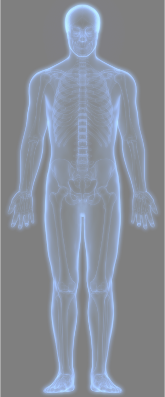 Download Body Image Body Image - X-ray | Transparent PNG Download | SeekPNG