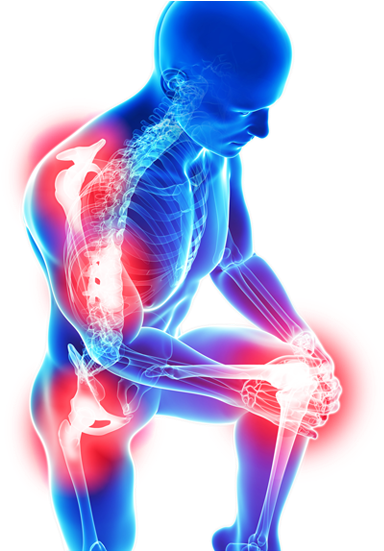 Joint Health - Xanatrex - Ultra Joint Relief - Increased Joint Mobility (467x550), Png Download