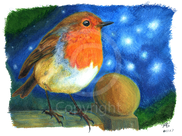 Robin Red Breast On A Dark Blue Starry Sky, Watercolour - Drawing (600x436), Png Download