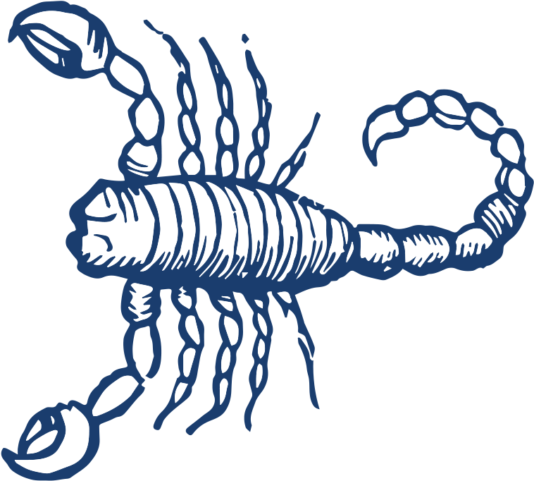 View Larger Image - Scorpio Symbol (800x800), Png Download