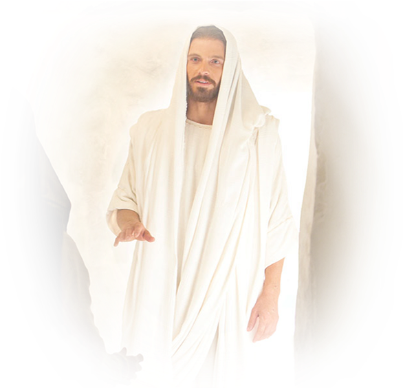 Risen Christ - Risen Christ Lds (698x698), Png Download