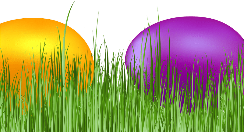 Easter Grass Eggs Png Download Image - Grass (800x491), Png Download