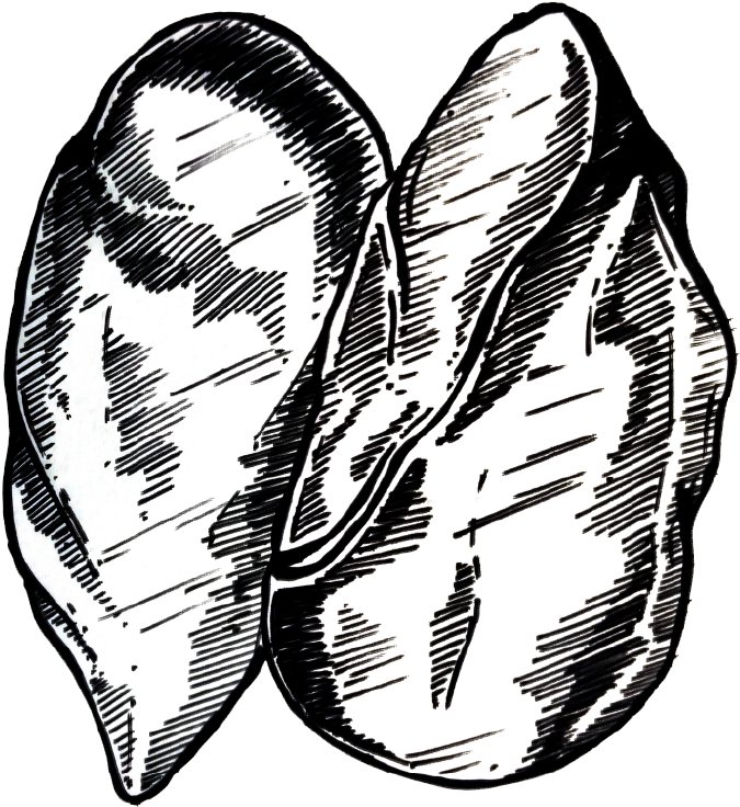 Smoked Chicken - Smoking (1201x1201), Png Download