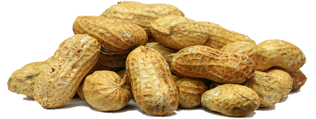 Peanut Png - Peanut (1080x608), Png Download