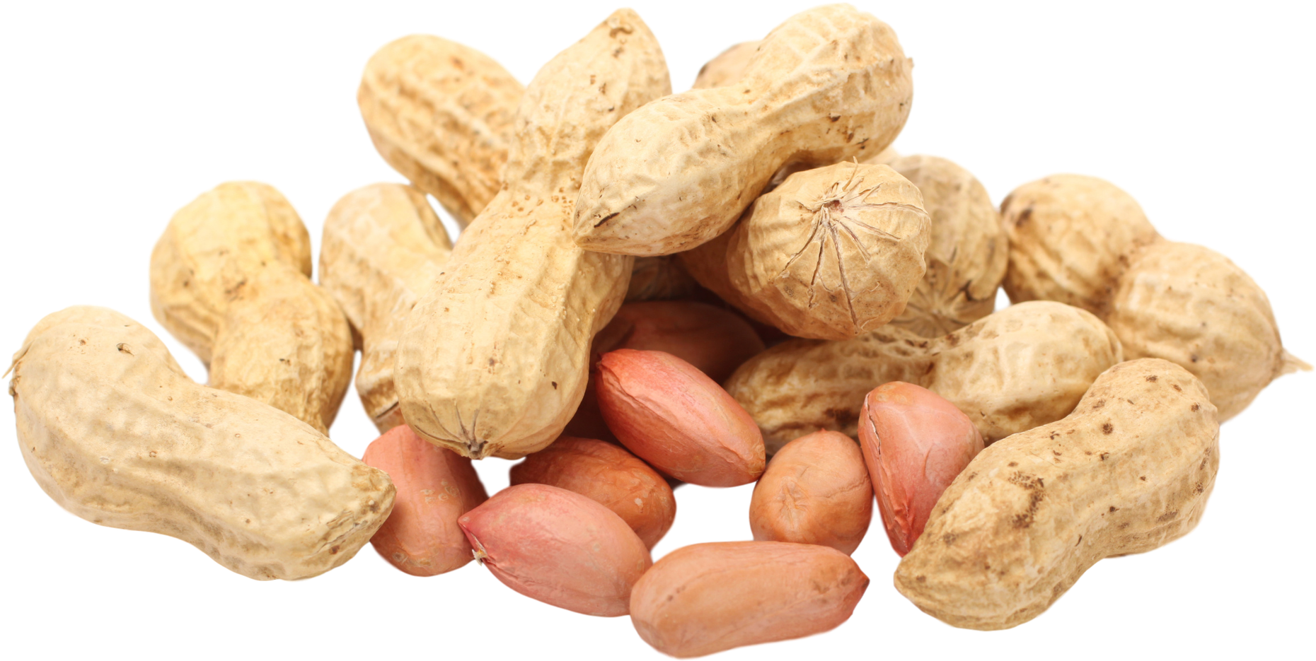 Peanut Png (2048x1365), Png Download