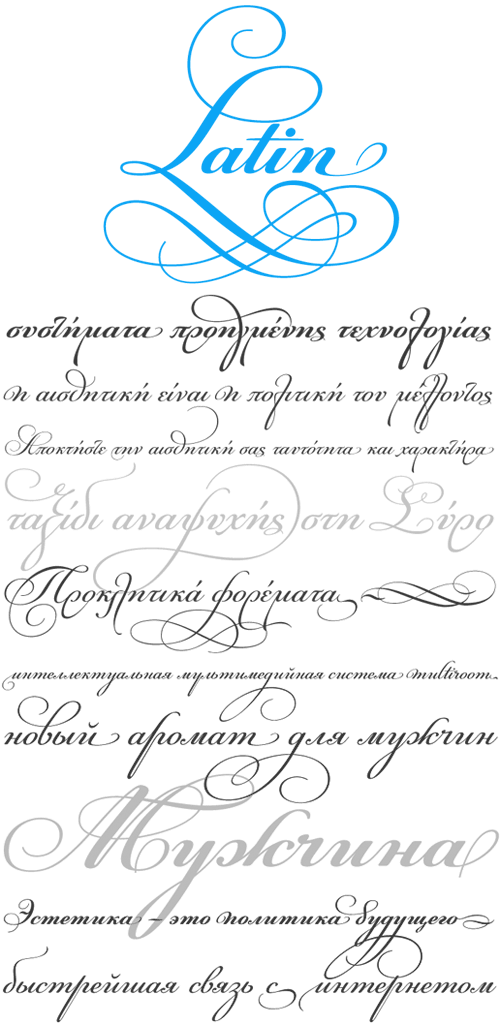 Champion Script Pro (500x1024), Png Download