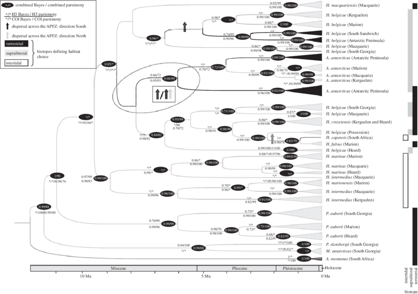 Bayesian Topology Inferred From The Combined Coi And (850x599), Png Download