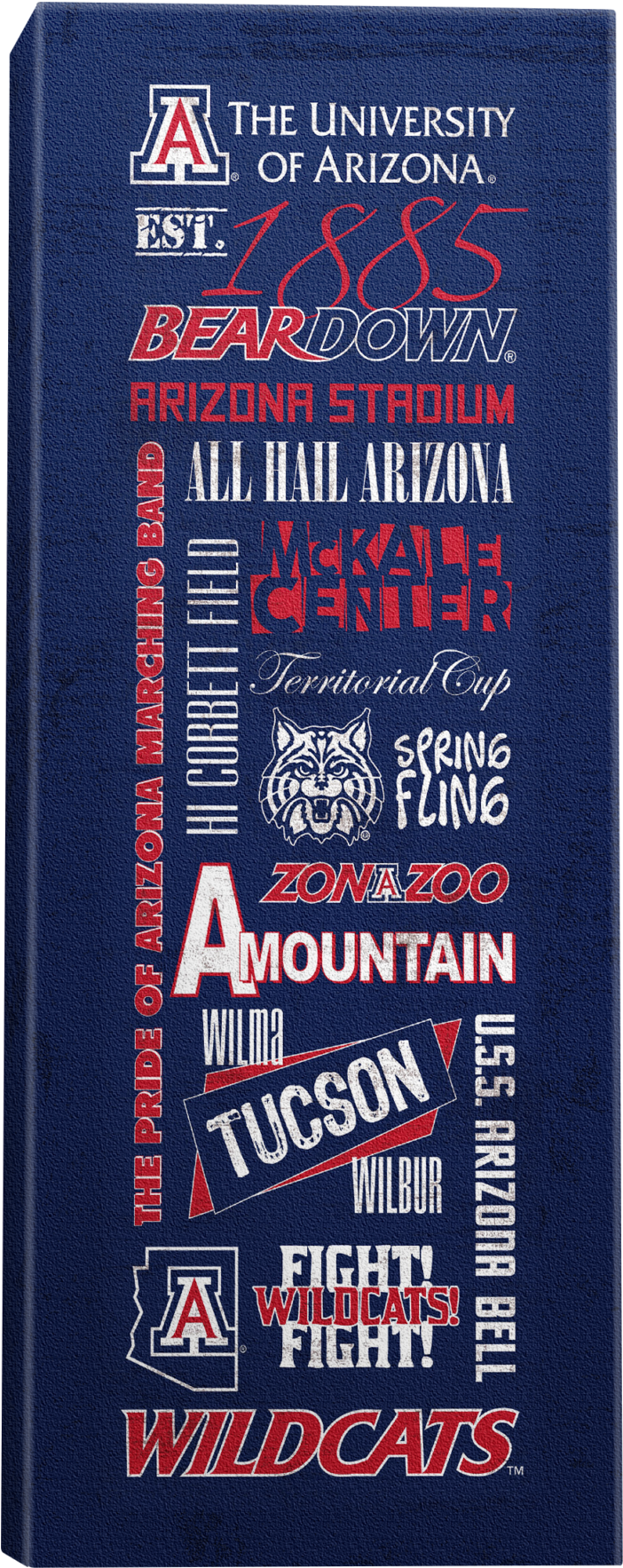 University Of Arizona, University College (1080x2083), Png Download