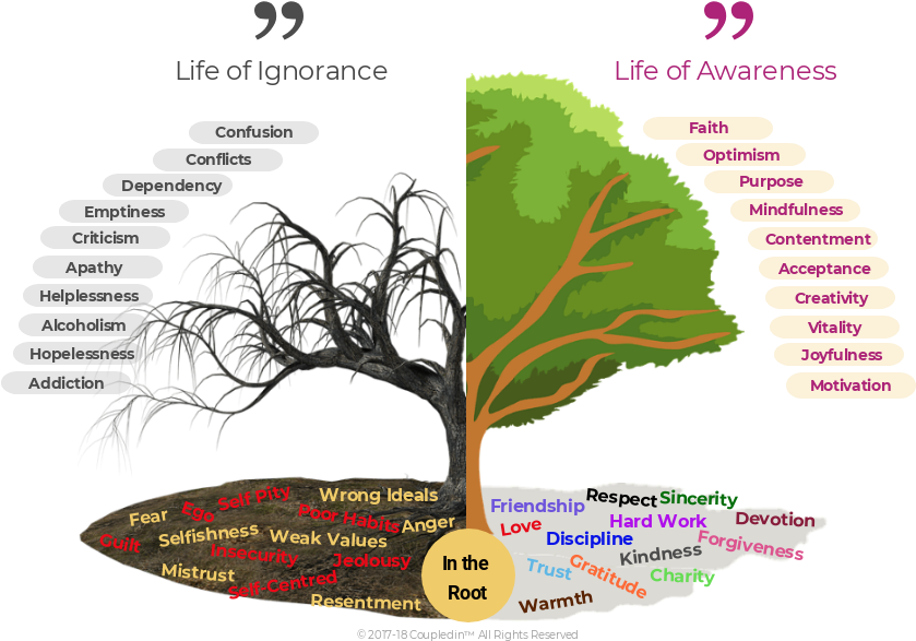 Alok Jain Liked This (840x600), Png Download