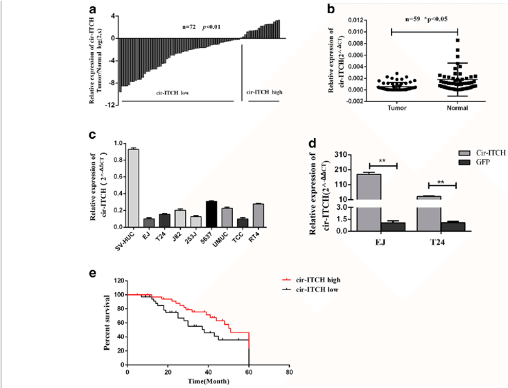 Cir Itch Was Significantly Decreased In Bca And Correlated (850x558), Png Download