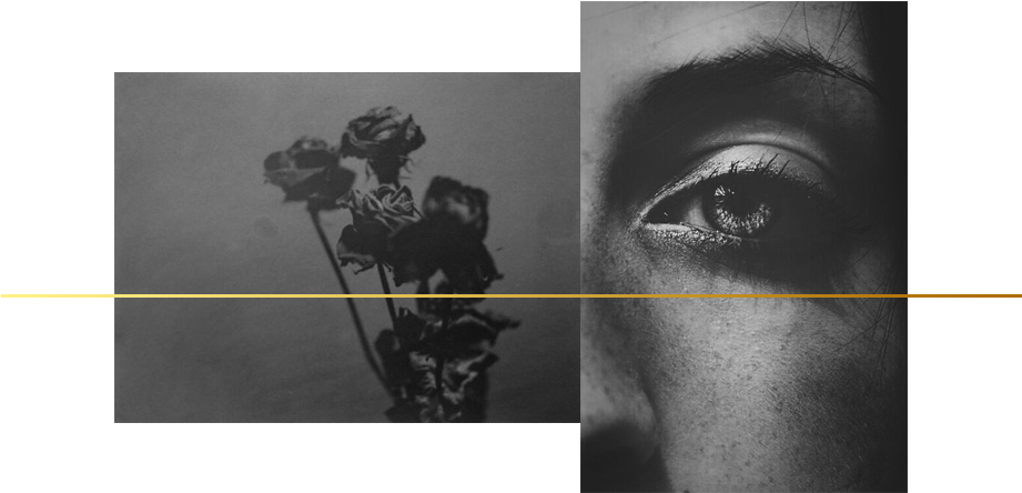 I Don't Care What You May Say About It At The Beginning (920x480), Png Download