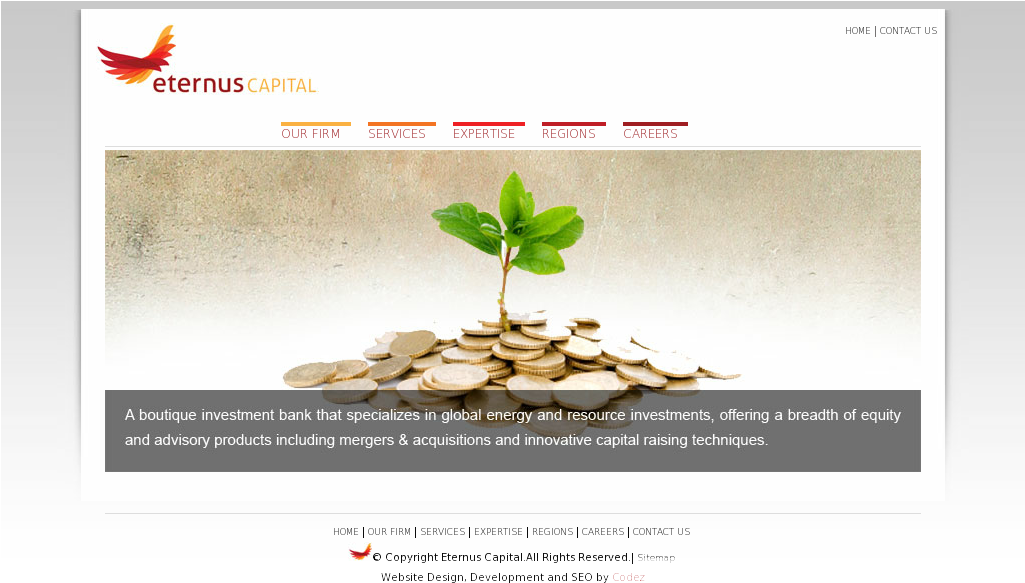 Eternus Capital Competitors, Revenue And Employees (1024x768), Png Download