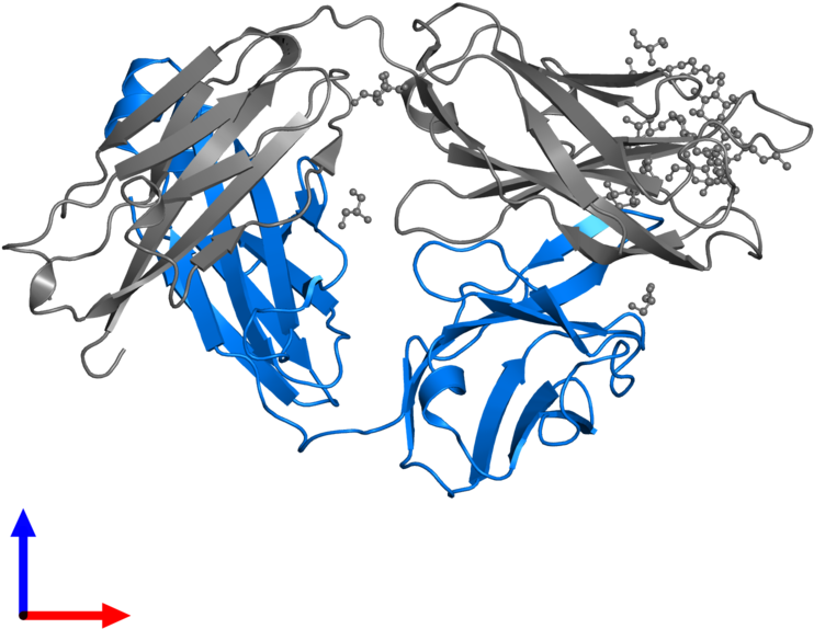 <div Class='caption-body'>pdb Entry 3tv3 Contains 1 (800x800), Png Download