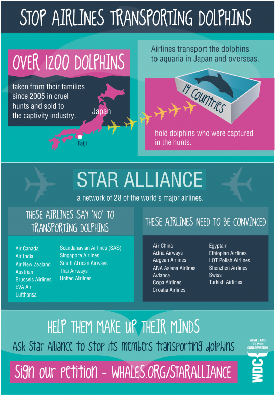 Whale And Dolphin Conservation (680x777), Png Download