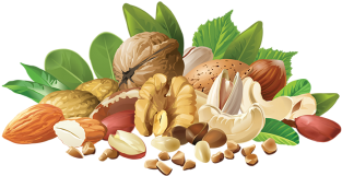 Realistic Different Nuts, Realistic Different Nuts, - Nuts Labels (360x360), Png Download