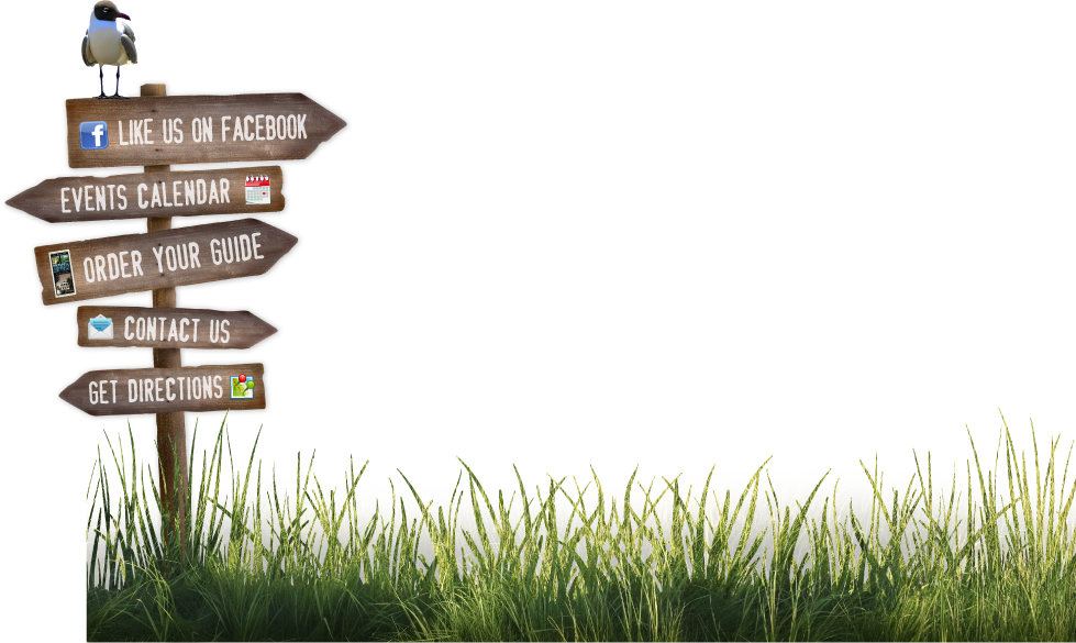 Add To Itinerary - Grass (979x585), Png Download