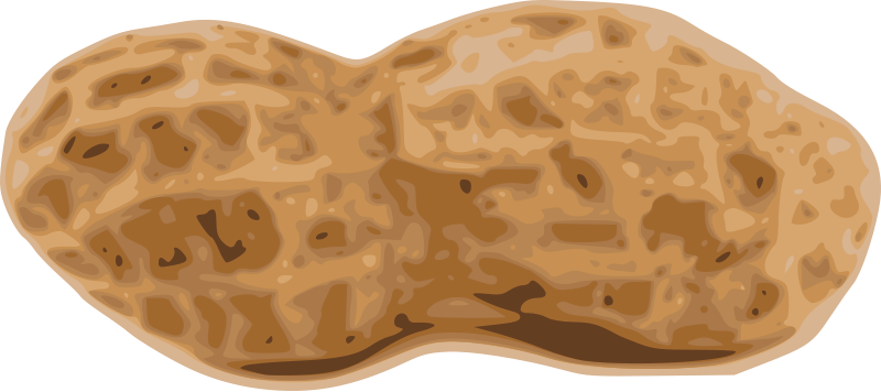 Peanut Clipart - Peanut Clipart Png (800x356), Png Download