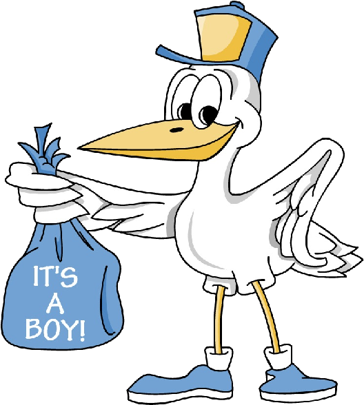 Cartoon Stork Image Delivering Baby Boy - Cartoon Stork (600x600), Png Download