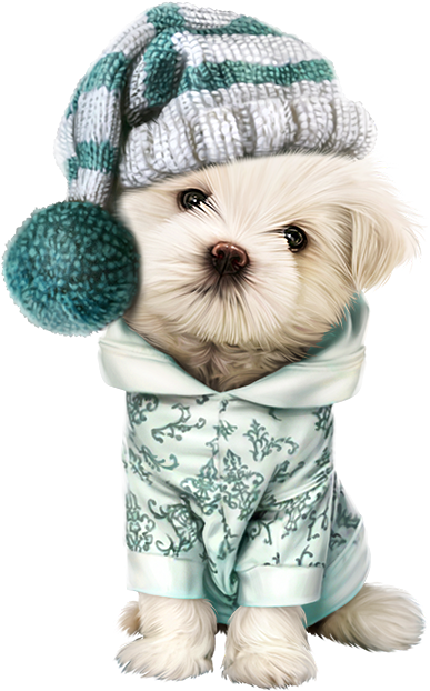 Animal Wallpaper, Dog Wallpaper, Dog Art, Dog Accesories, - Puppy (450x698), Png Download