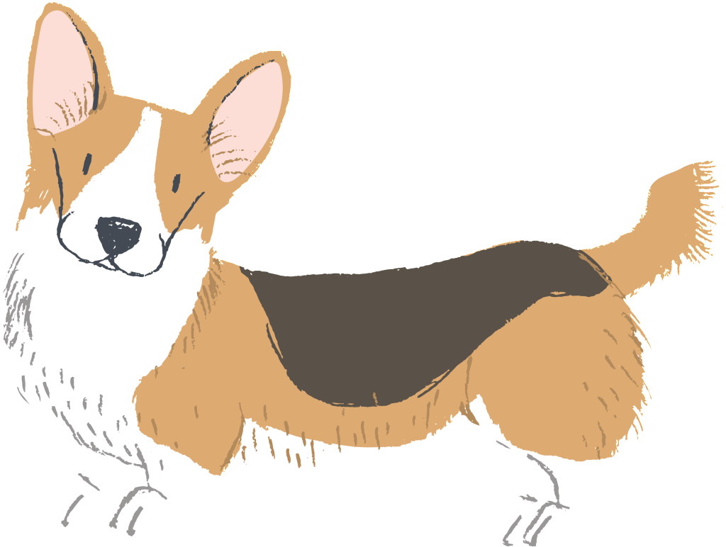 Hand Painted Watercolor Cute Keji Free Buckle Dog Vector - Dog (1024x772), Png Download