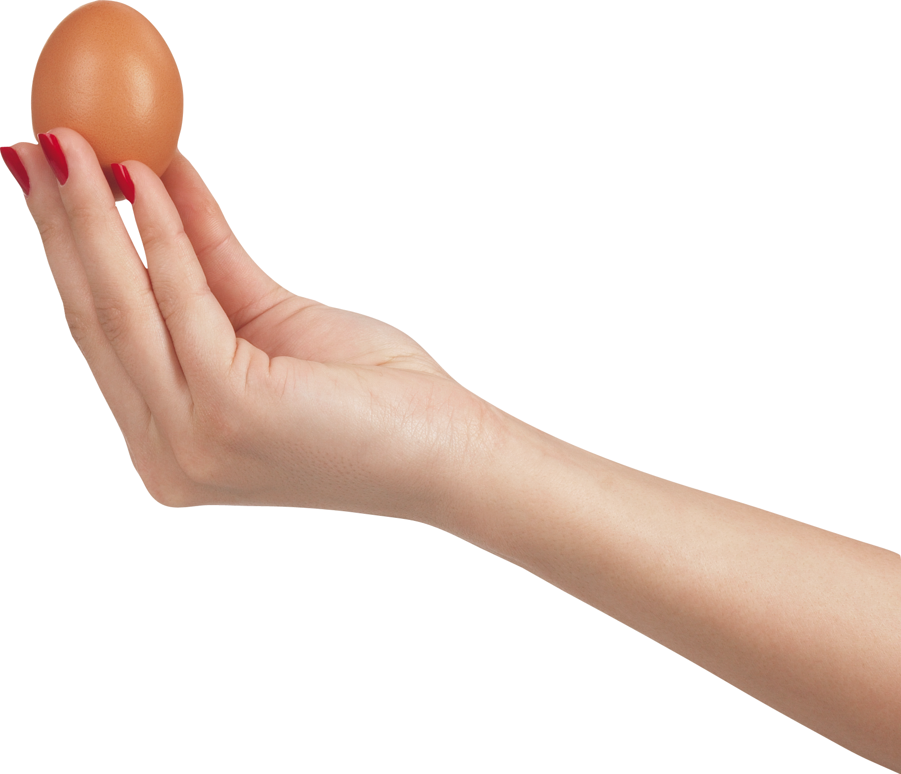Hand Holding Egg (1768x1520), Png Download