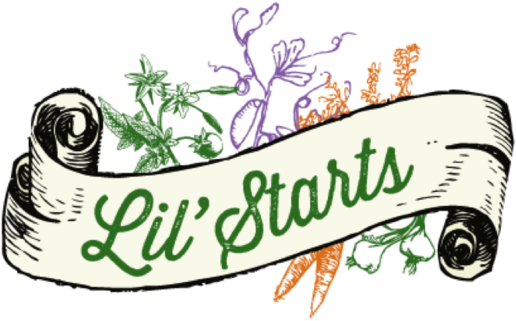 Lil Starts Logo - Portable Network Graphics (1000x775), Png Download