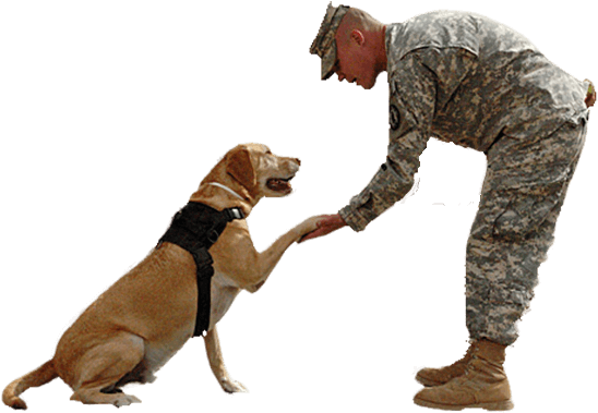 In Many Cases, Your Insurance Will Cover The Cost Of - Us Army Military Police (567x400), Png Download