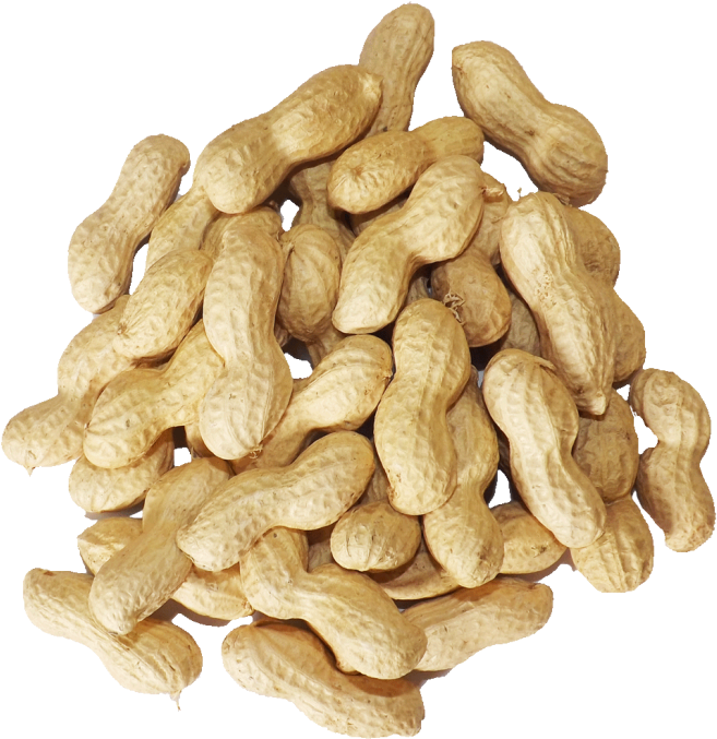 2 Cups Miniature Marshmallows - Peanut (700x700), Png Download