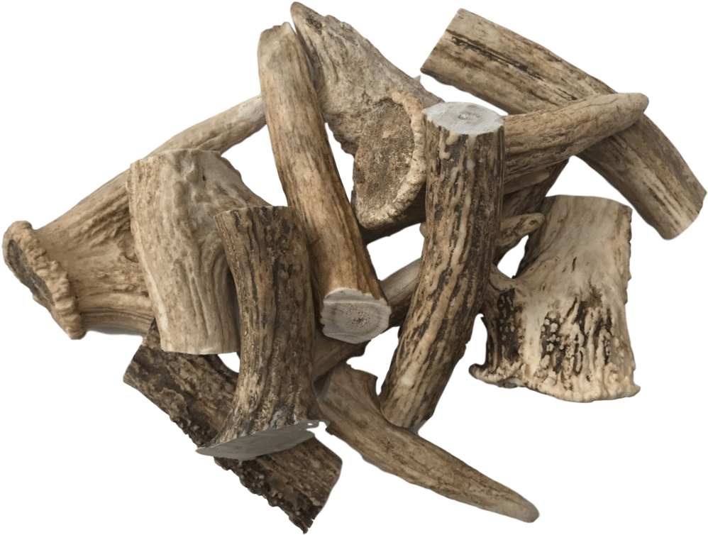 Deer Antlers Dog Treats Various Sizes - Dog (1024x788), Png Download