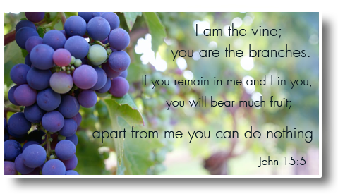 Grapevine - Drouin Baptist Church (500x285), Png Download