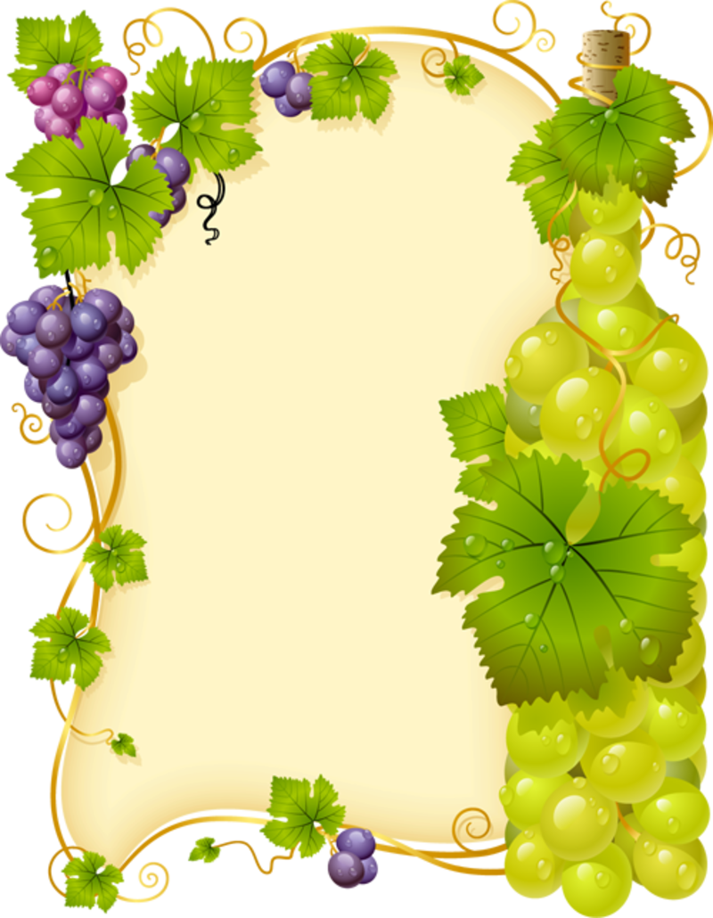Borders And Frames, Borders For Paper, Art Carte, Grape - Grape Vector (800x1030), Png Download