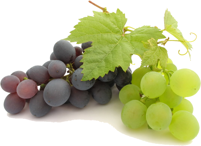 Grape Png File - Best Pure Grape Seed Oil| (240ml) (748x525), Png Download