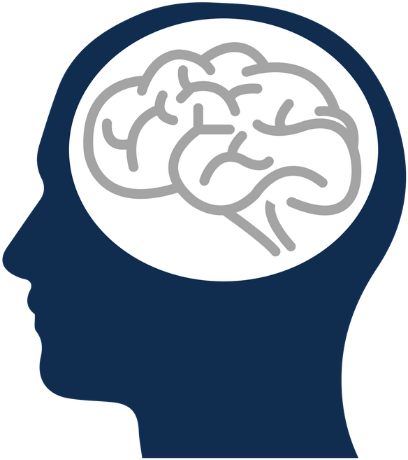 Brain Decision Making Tool (800x800), Png Download